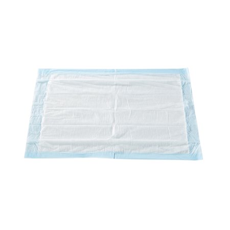 The McKesson Classic Disposable Underpad, measuring 17 x 24 inches, features a white absorbent center with polymer core technology and is bordered by a light blue edge.